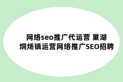 网络seo推广代运营 巢湖烔炀镇运营网络推广SEO招聘